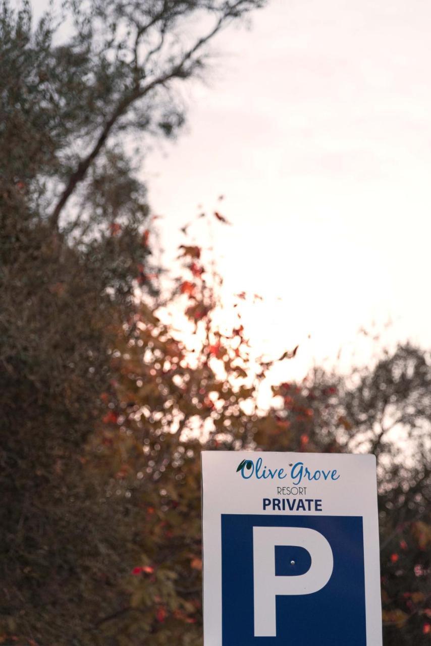 Olive Grove Resort Κάβος Εξωτερικό φωτογραφία